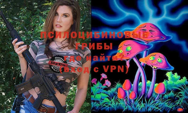 дживик Навашино